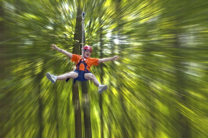 Wetland Zip Tour - Photo 1 of 5